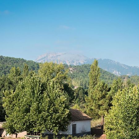Casa Amparo Villa Riópar Dış mekan fotoğraf
